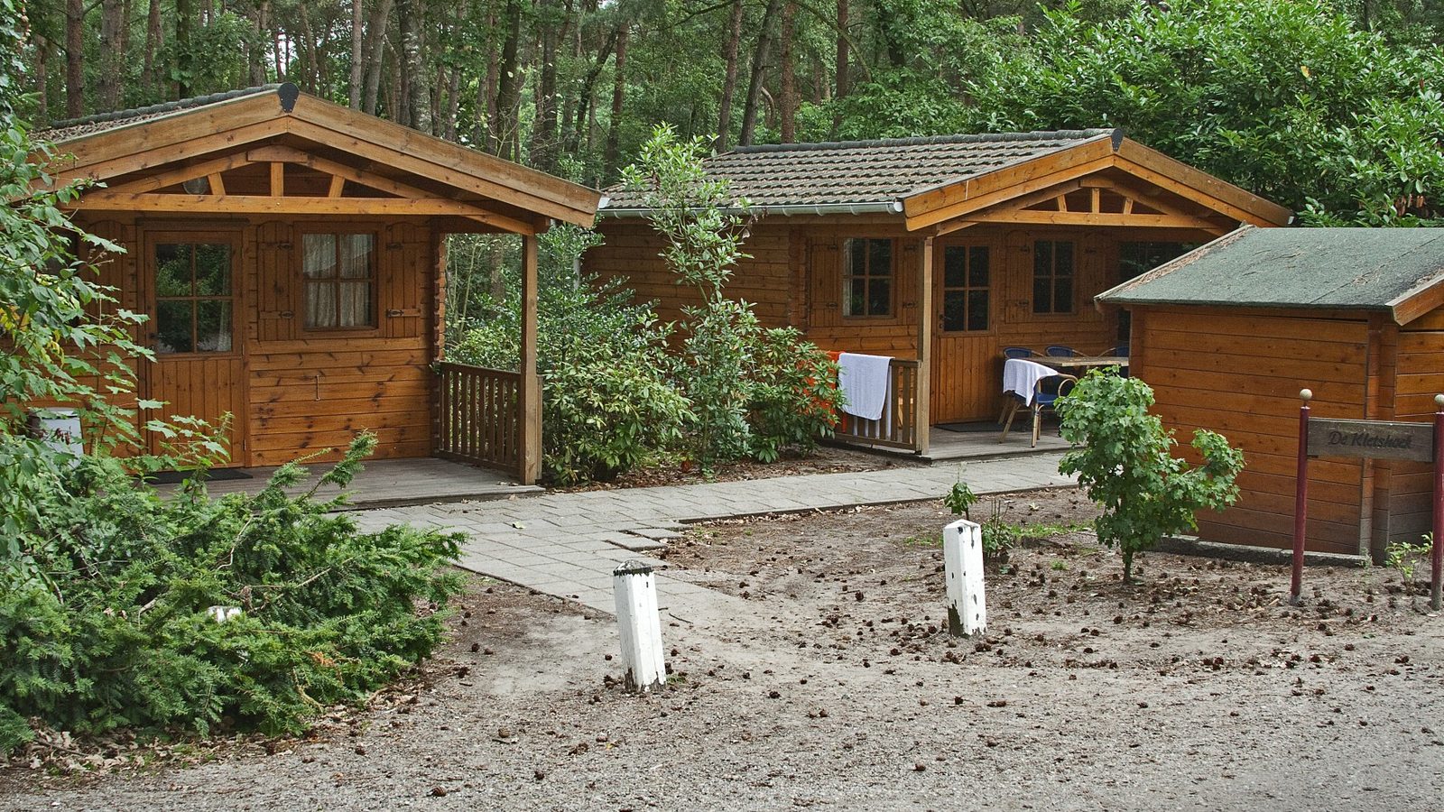 Houten woningen met veranda tussen de dennen in de avondzon
