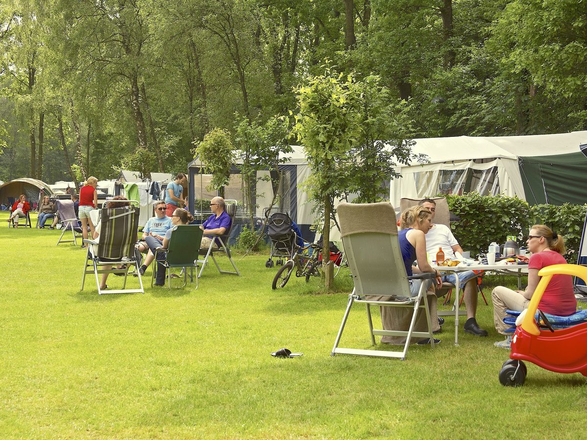 Gezinnen zitten in kampeerstoelen op het grasveld tussen de bomen