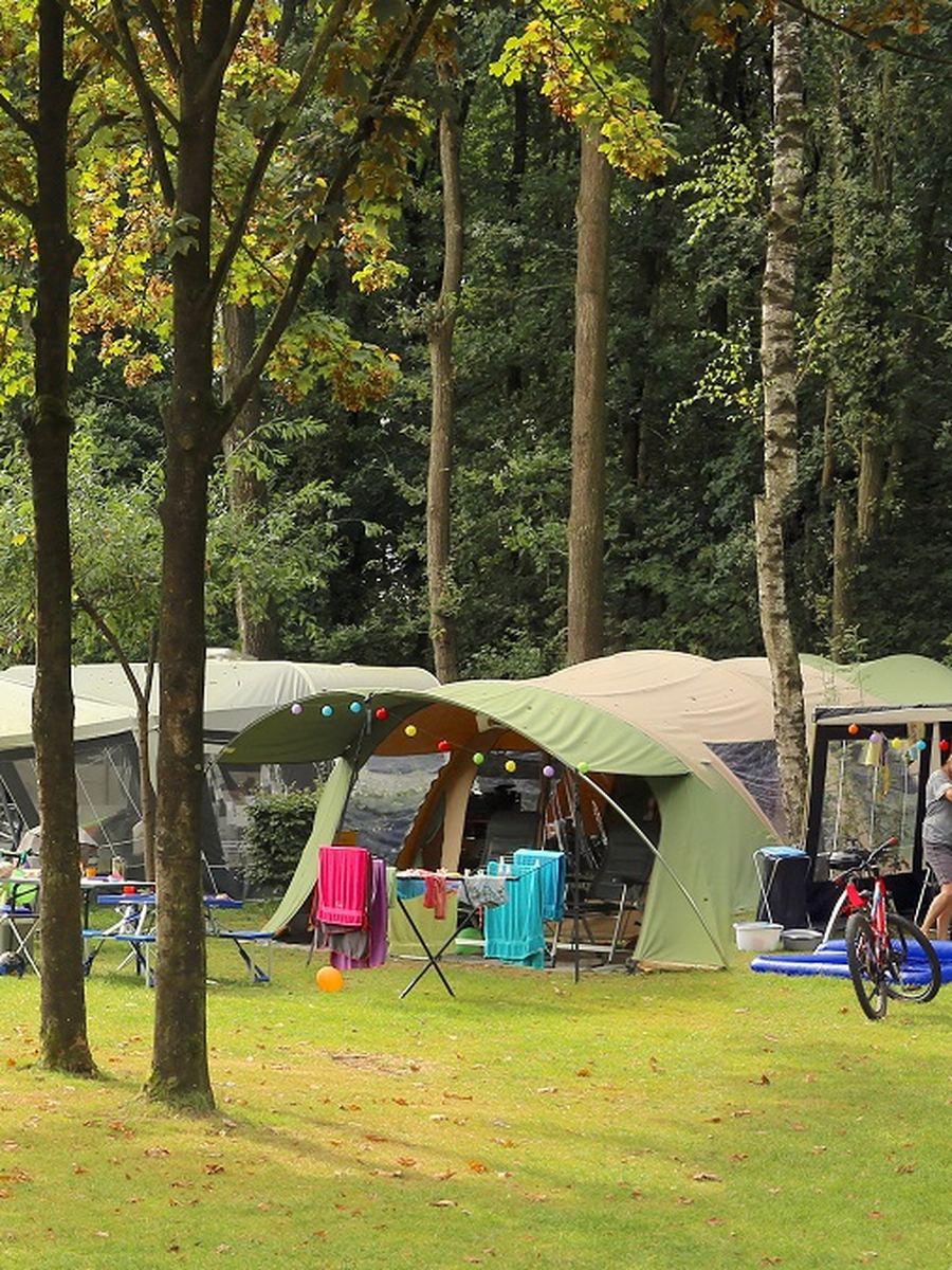 Tenten en voortenten tussen de bomen, met fietsen ervoor in het gras