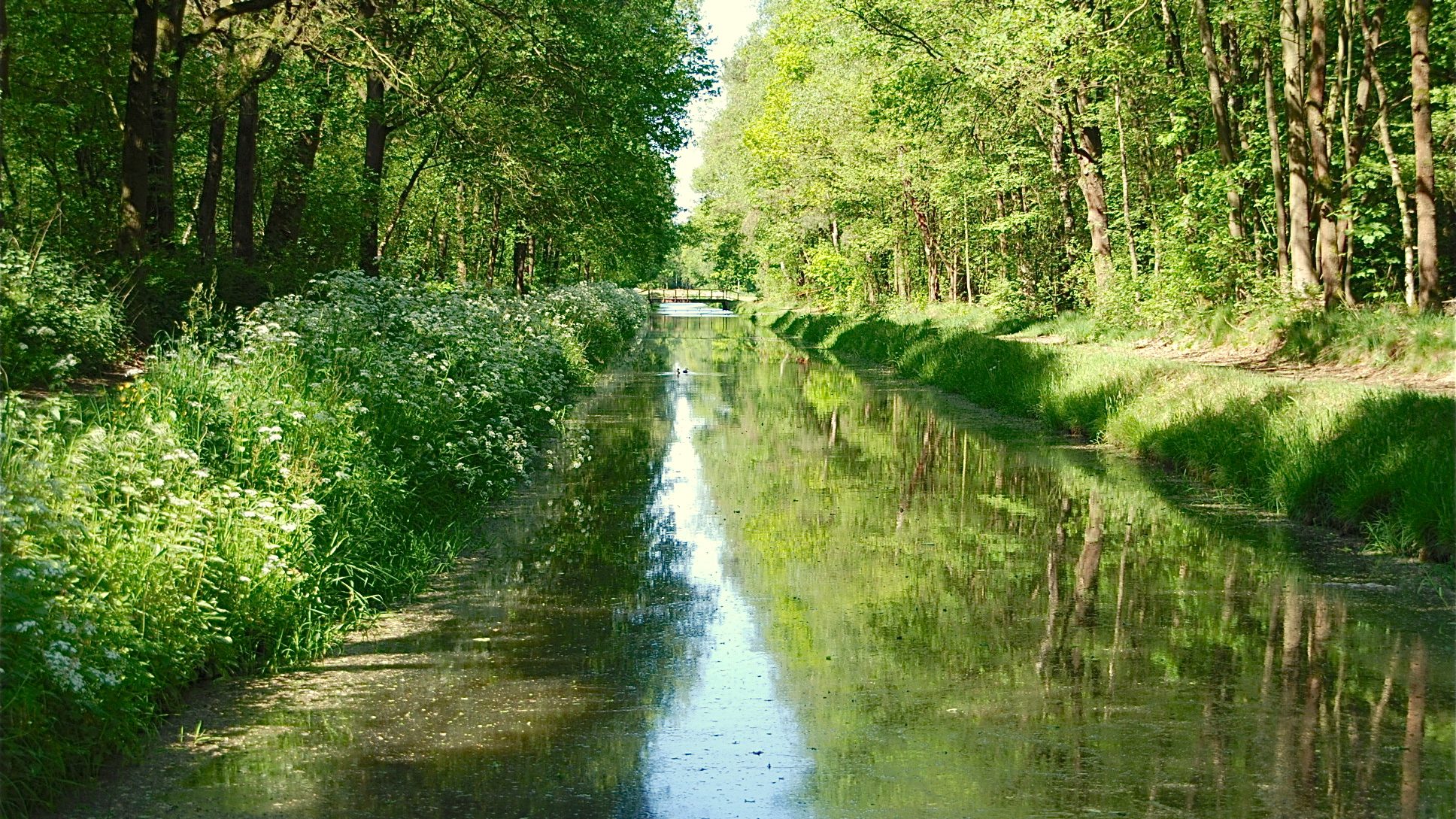 De Aa meandert tussen groene oevers door het beekdal