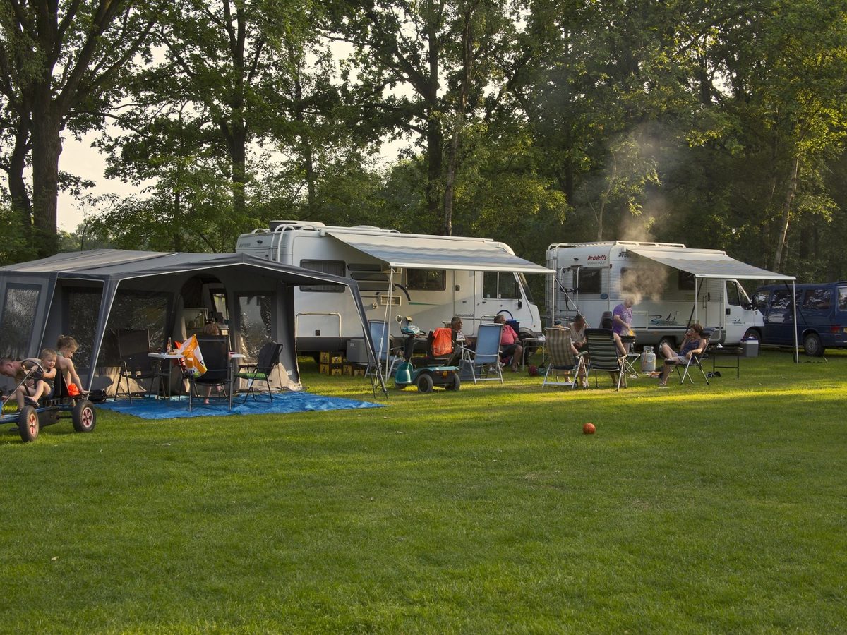 Caravans en tenten op het kampeerveld tussen hoge bomen