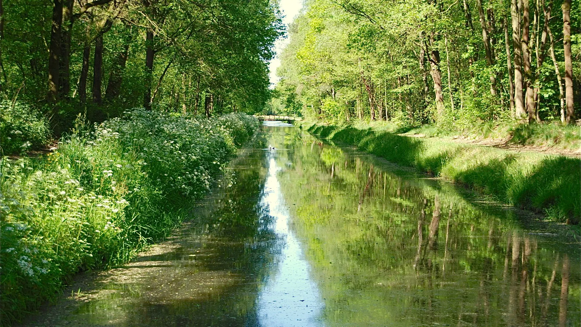 De Aa meandert tussen groene oevers door het beekdal